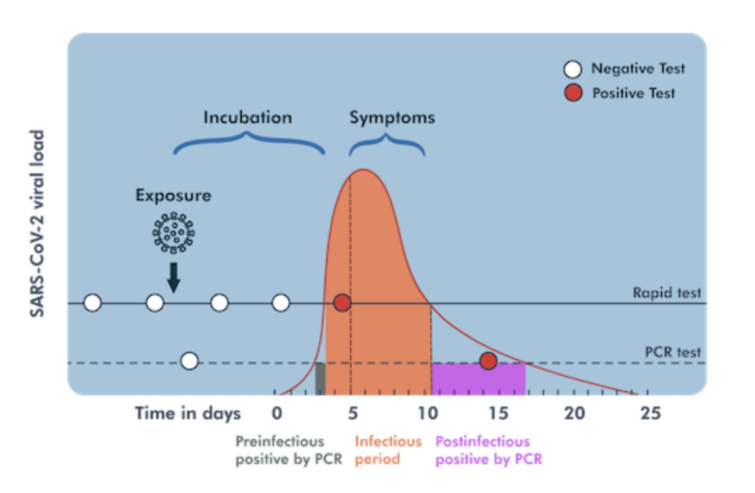 COVID-19 Testing Explained