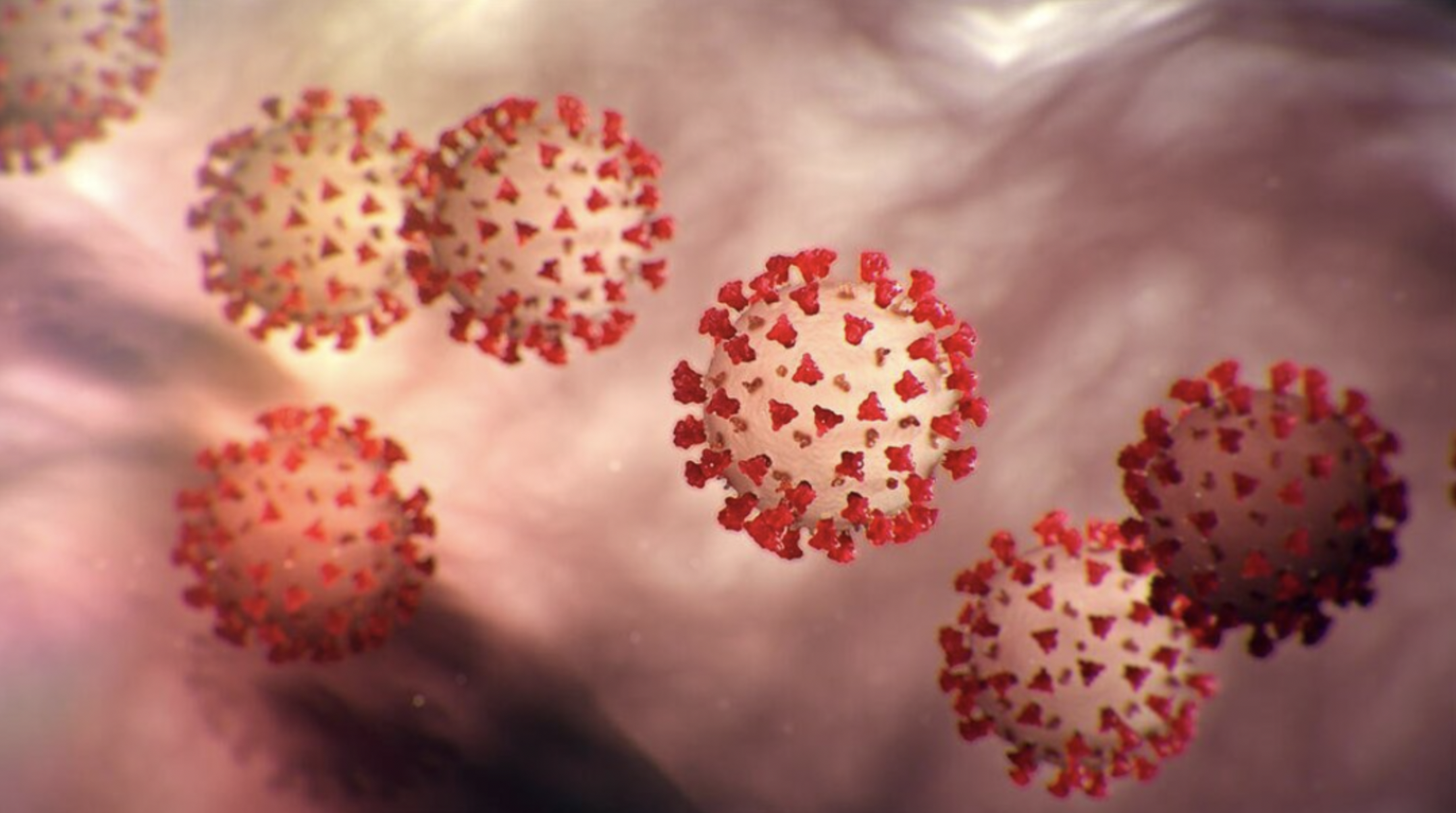 Helping Nursing Homes Navigate Coronavirus